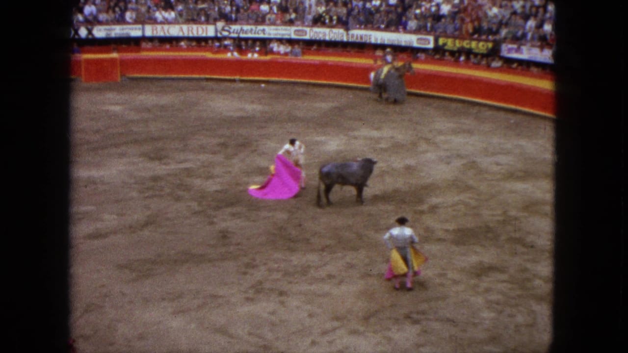 Matador holds a pink cape as a black bull turns across the dirt arena.