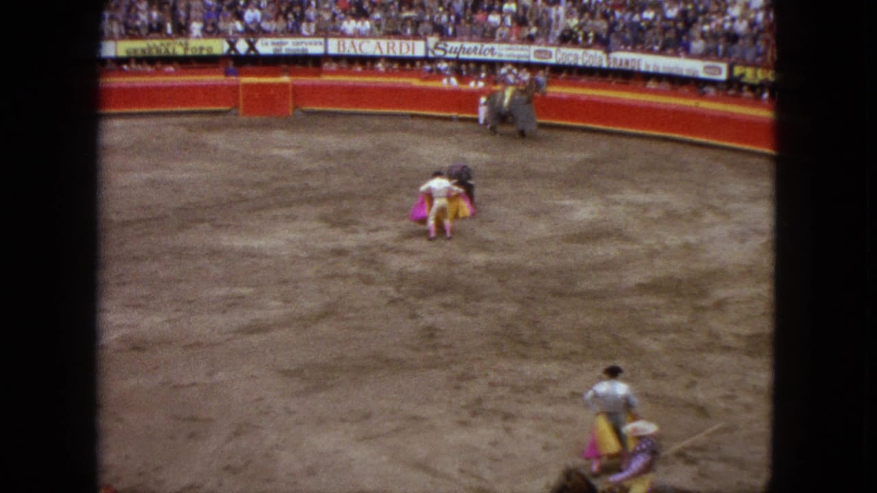 The bull moves in close as the matador works the pink cape, with another bullfighter visible near the lower edge.