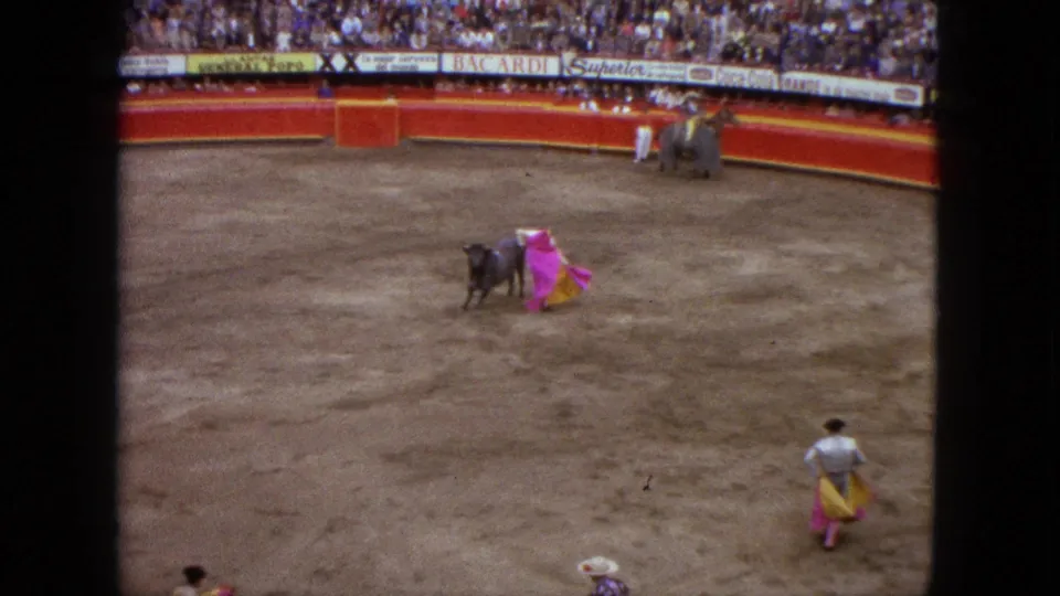 A matador in the Acapulco arena appears low to the ground with a pink cape while the bull stands close by.