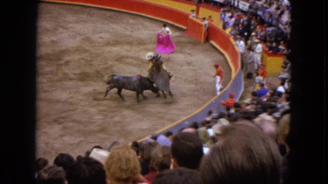 Bull closes in on the mounted rider near the curved arena barrier as spectators watch.
