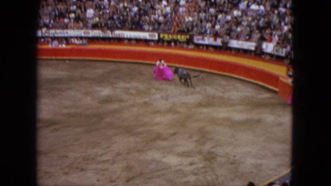 Bull approaches a matador holding a bright pink cape near the arena wall.