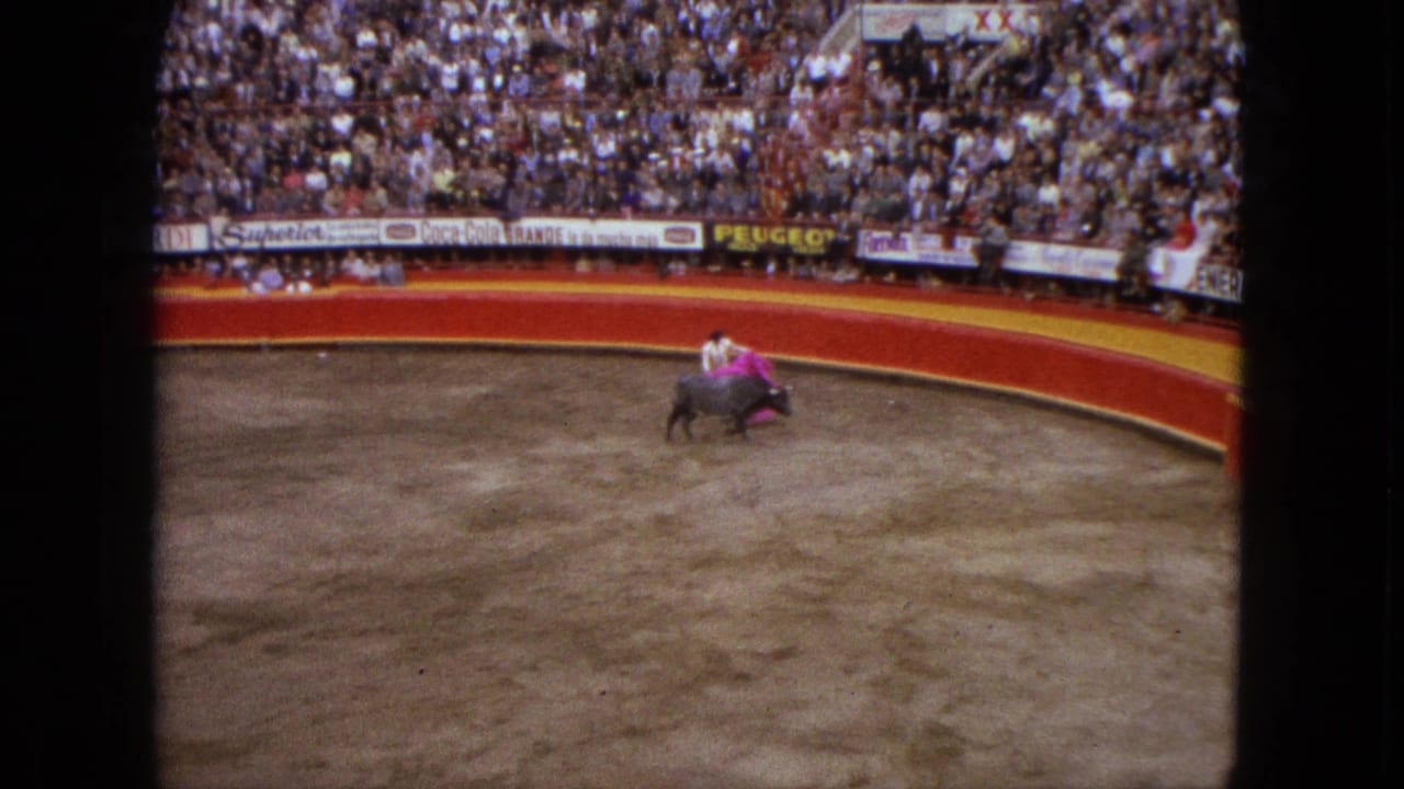 Matador with a pink cape faces a bull in a crowded arena.