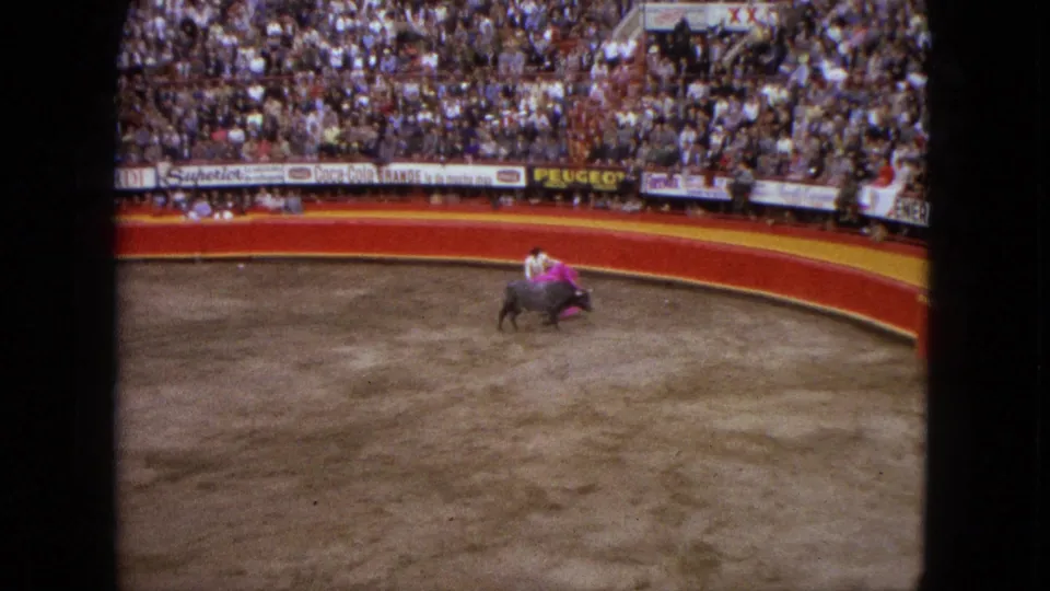 In 1962 Acapulco, a matador with a bright pink cape confronts a bull on the dirt floor of a crowded arena.
