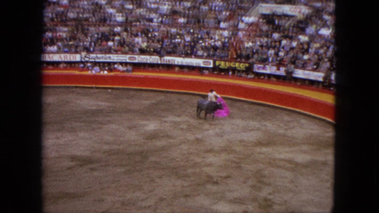 Bull charges toward a matador holding a pink cape in the arena.