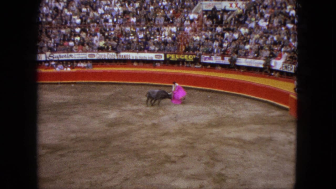 In the Acapulco arena, the dark bull moves toward the matador's pink cape while the crowd watches from the stands.