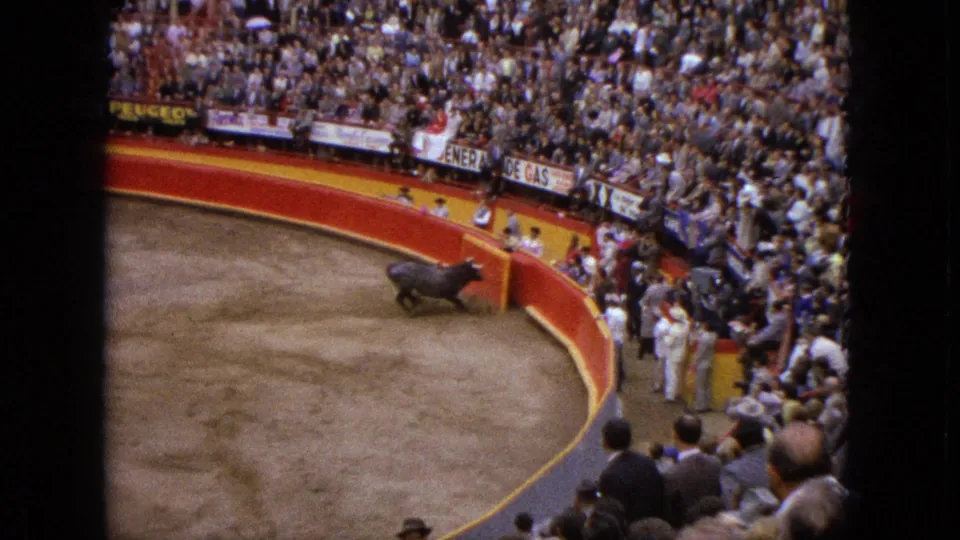 A bull moves near the red and yellow barrier in a packed Acapulco arena, with spectators standing close behind the rail.