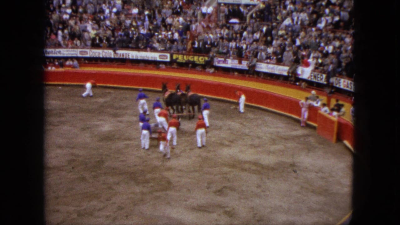 Matadors and horses gather in a crowded bullfighting arena seen from above.