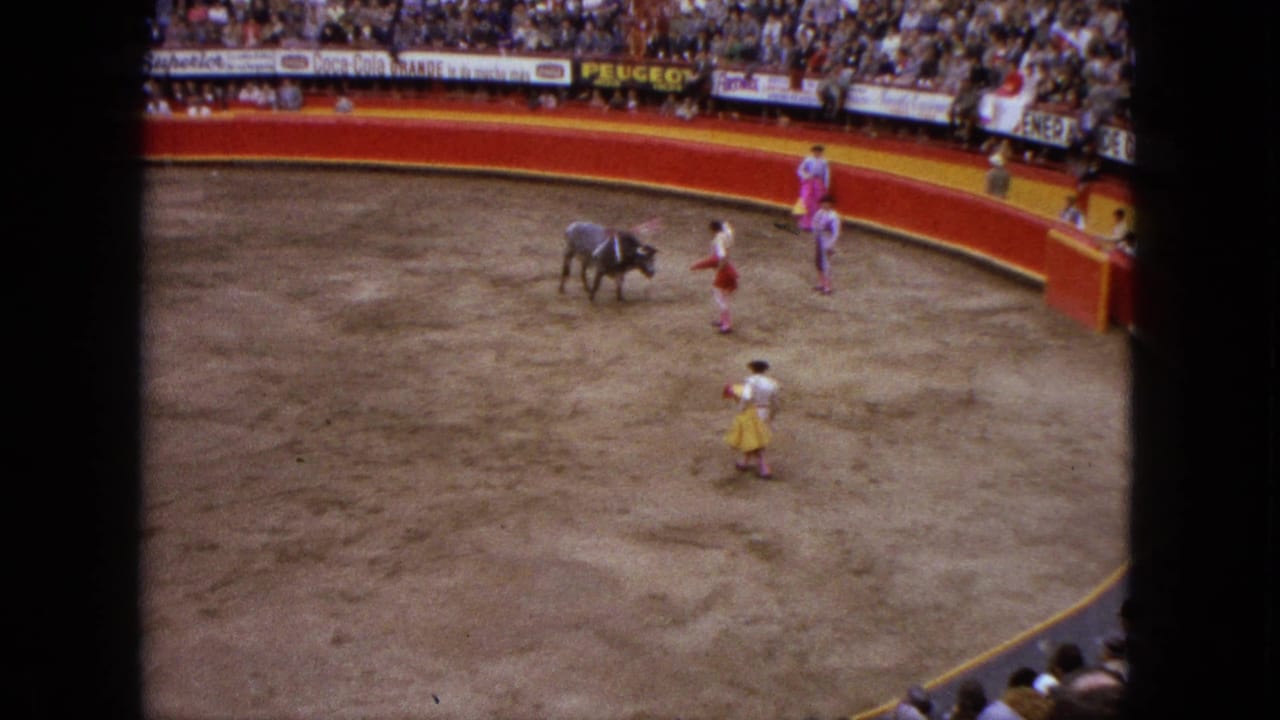 In the Acapulco bullring, matadors in pink and yellow-red costume stand around the bull as the crowd watches from behind red boards.