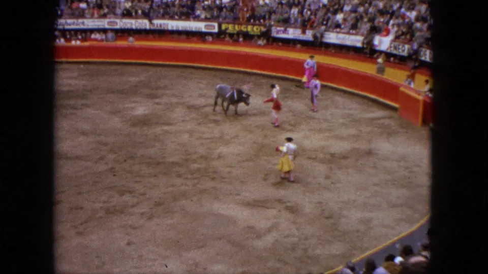 In the Acapulco bullring, matadors in pink and yellow-red costume stand around the bull as the crowd watches from behind red boards.