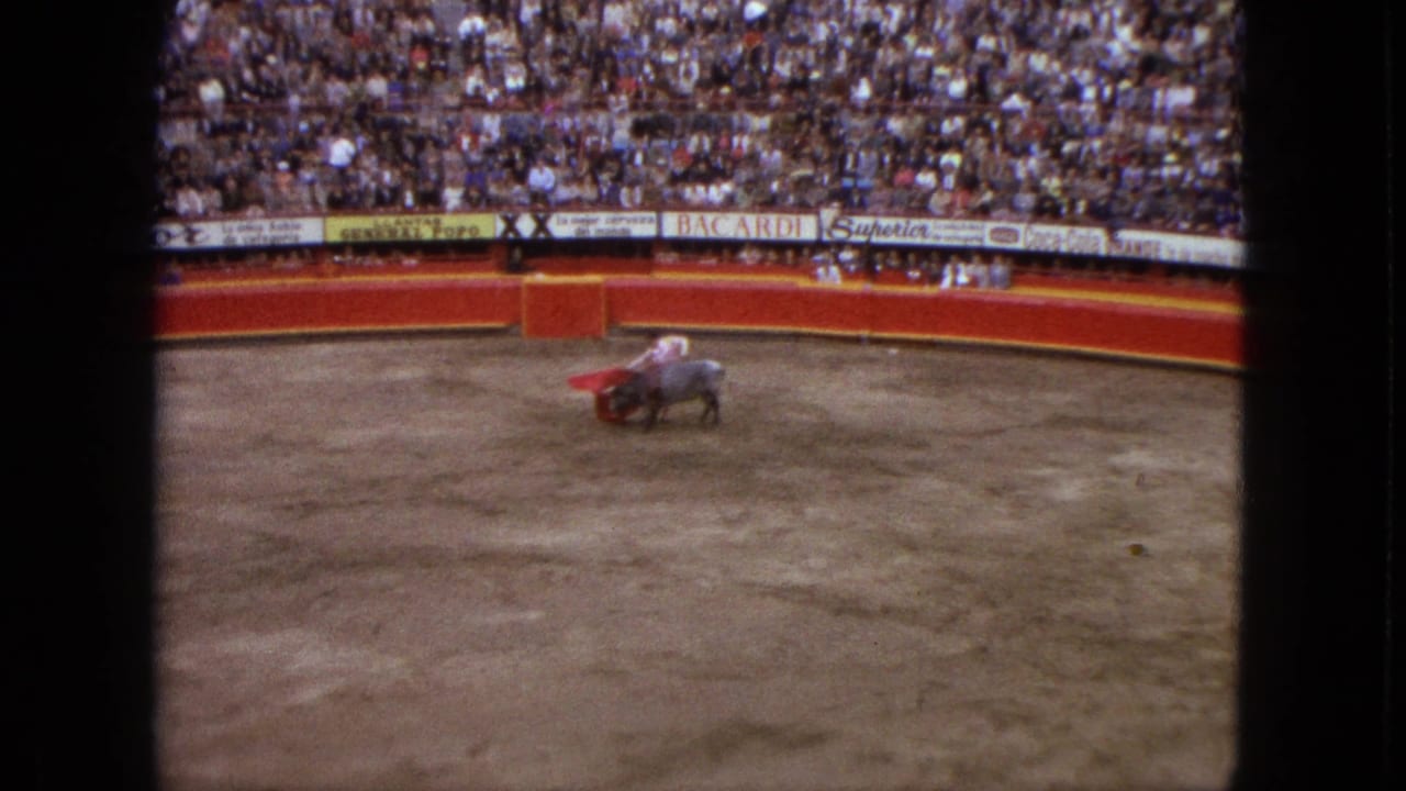 Grey bull charges near a red cape while the crowd watches.