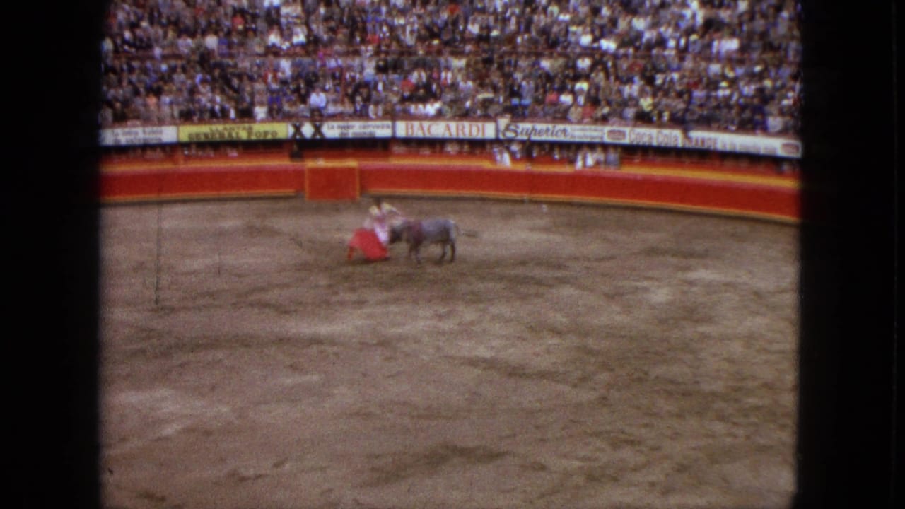 Bull charges near the matador's red cape in the arena.