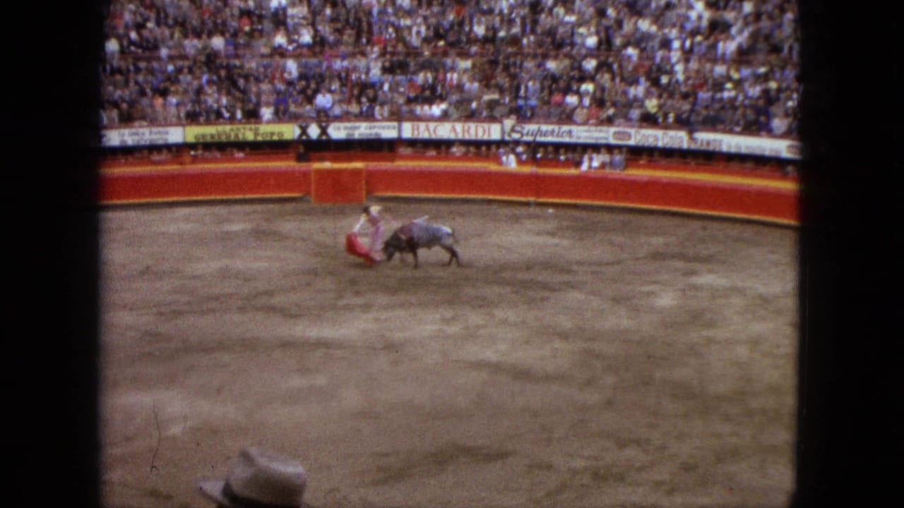Bull charges toward a matador holding a red cape near the arena barrier.