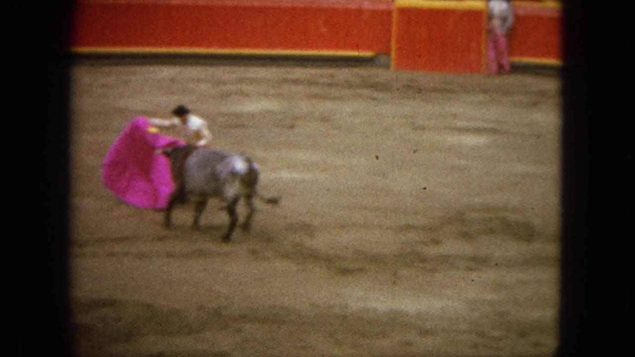 The matador works a purple cape in front of the bull, with the red and yellow bullring wall behind them.