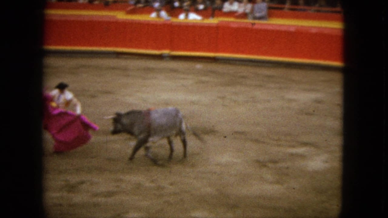 Bull moves across the arena toward a matador holding a pink cape.