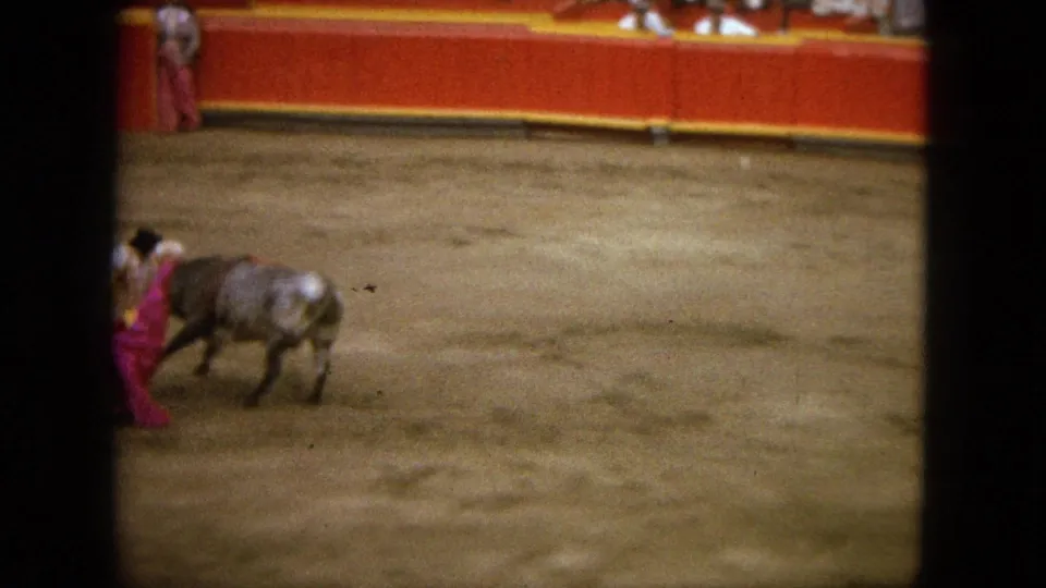 The bull passes near the matador's cape at the arena edge, with spectators above the red-and-yellow barrier.