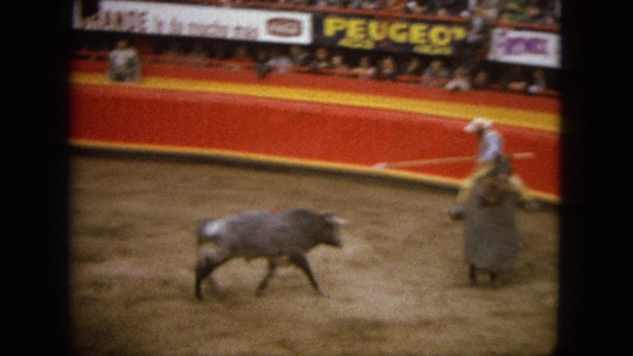 Bull faces a mounted fighter inside a crowded bullring.