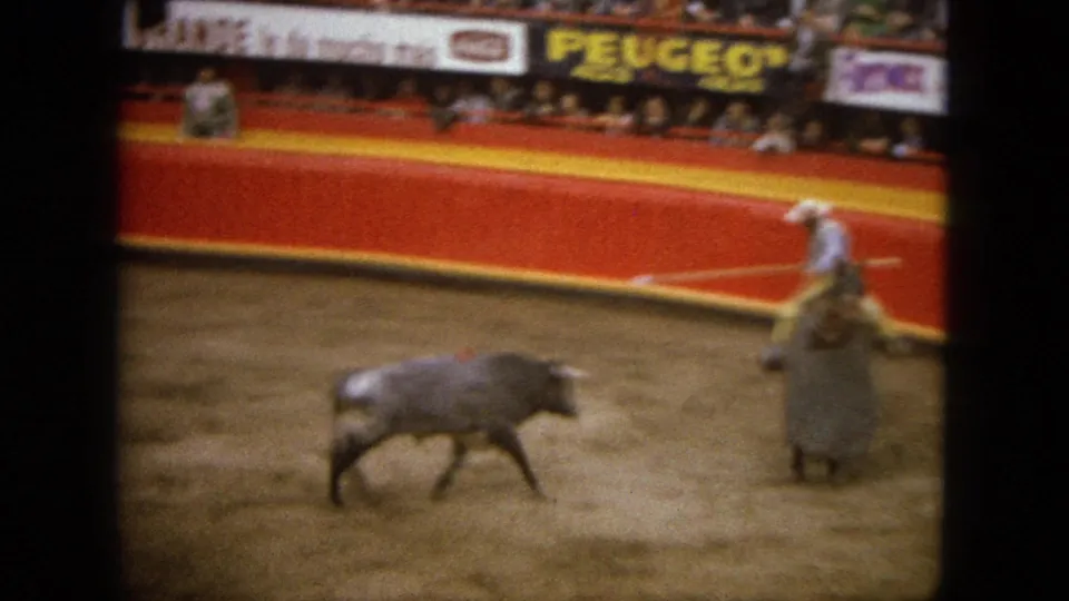 1962 Acapulco bullring footage showing a bull approaching a mounted fighter near the red arena barrier.
