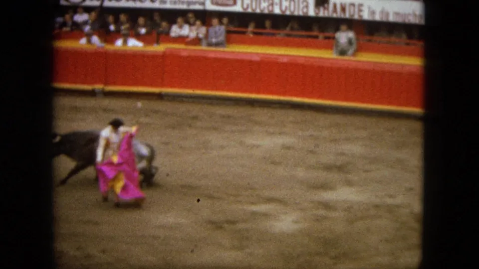 A matador in a bright pink cape works close to the bull inside the 1962 Acapulco arena.