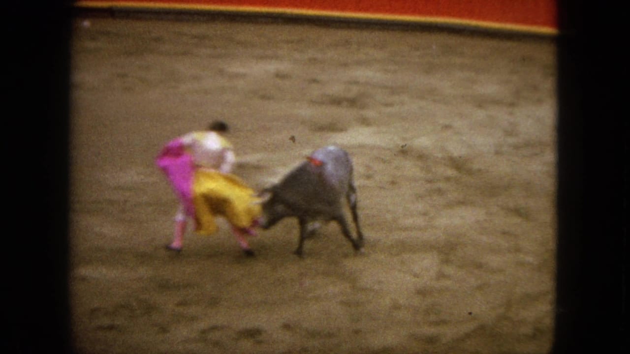 Bull charges toward the matador's cape on the sandy bullring floor.