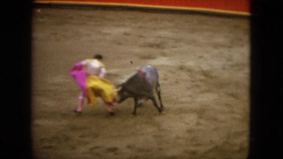 A grey bull moves into the pink and yellow cape as the matador pivots in the Acapulco bullring scene.