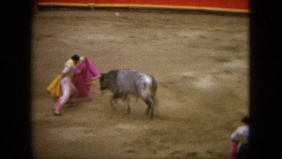 The matador turns beside the grey bull, using the pink and yellow cape during a close pass in the 1962 arena footage.