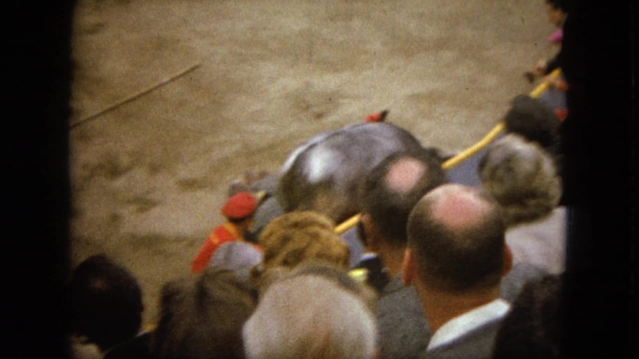 Crowd watches a bull near a horse in a dusty arena from elevated seats.