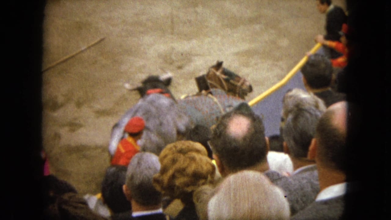 Bull and horse are close together while spectators watch from the stands.