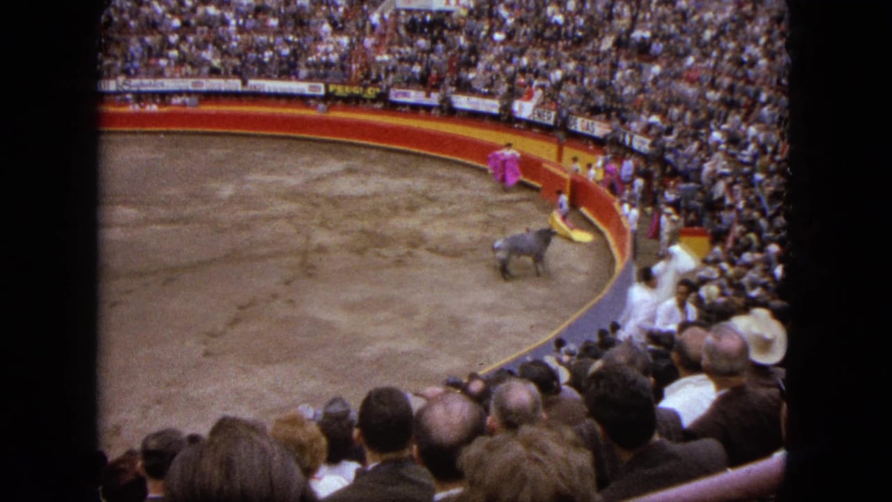 Wide view of a bullring with spectators, a bull, and a matador near the arena barrier.