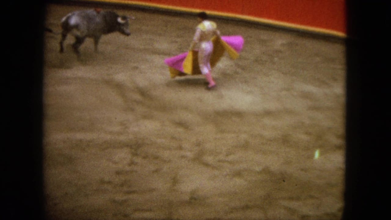 Matador in pink and yellow stands with a cape as a bull moves across the sand ring.