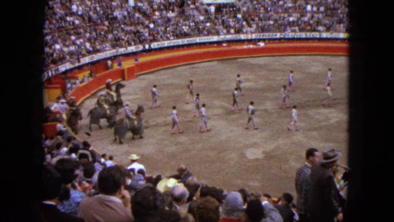 Bullring procession with camels near the left side and spectators filling the stands.