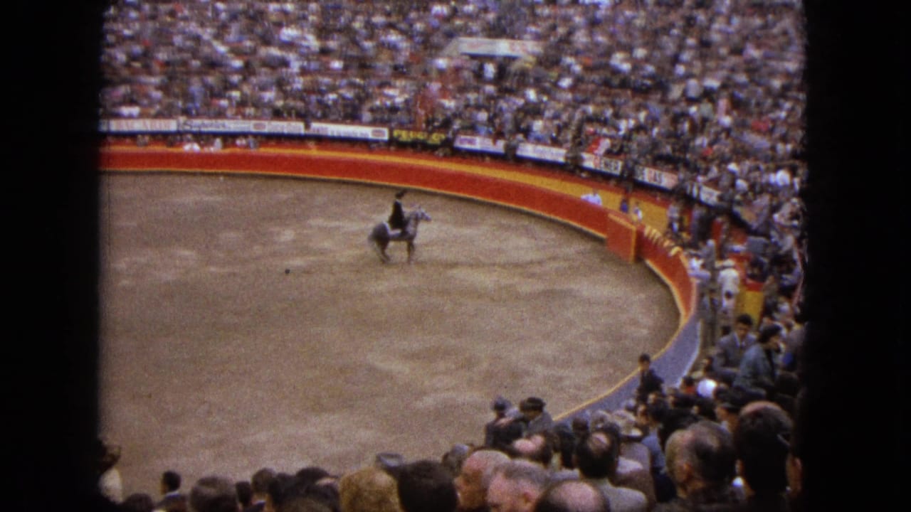 Rider on horseback moves near the center of a crowded arena.