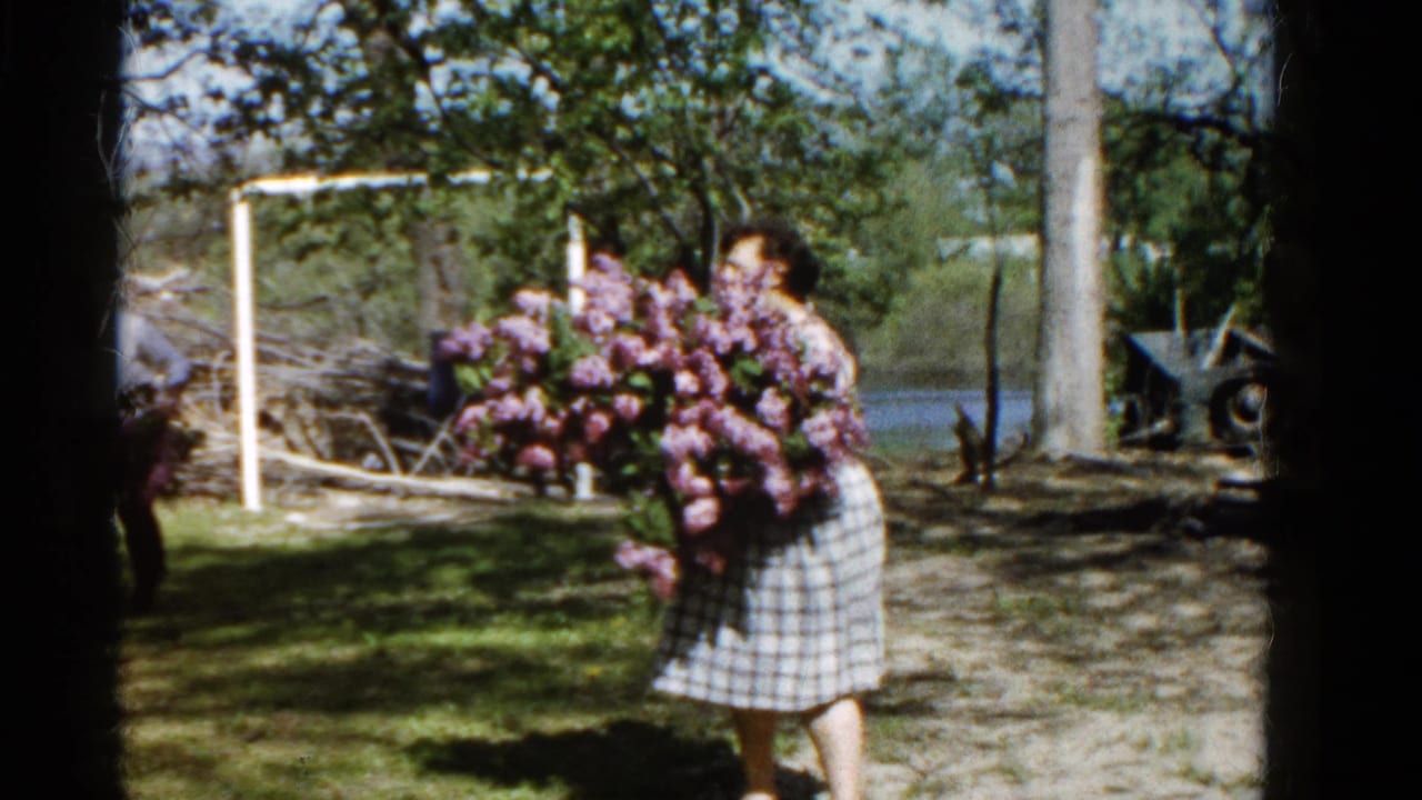Woman in a plaid dress carries a large purple lilac bouquet through a backyard.