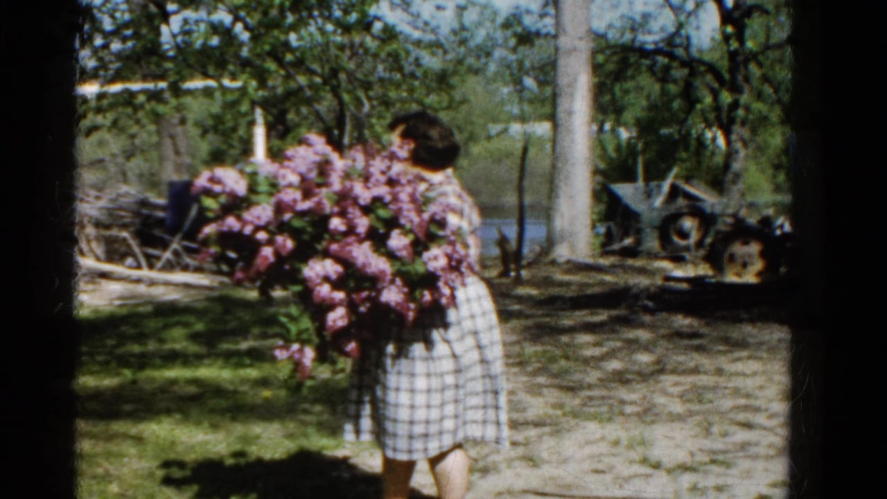 Woman in a gingham dress carries a large pink bouquet across a sunny yard.
