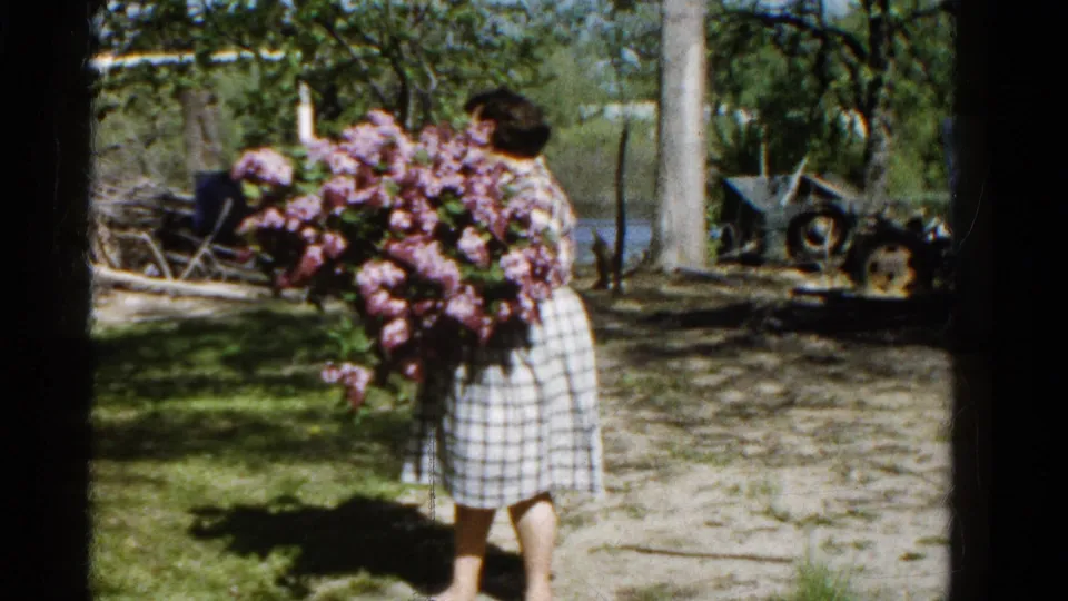The woman moves through the Wauconda yard with the pink lilac bouquet, with trees, water, and old equipment behind her.
