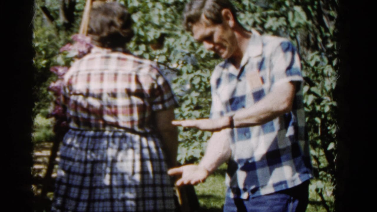 1961 Wauconda, Illinois 8mm frame of a woman seen from behind with purple flowers as a man in a checked shirt gestures in a sunny garden.