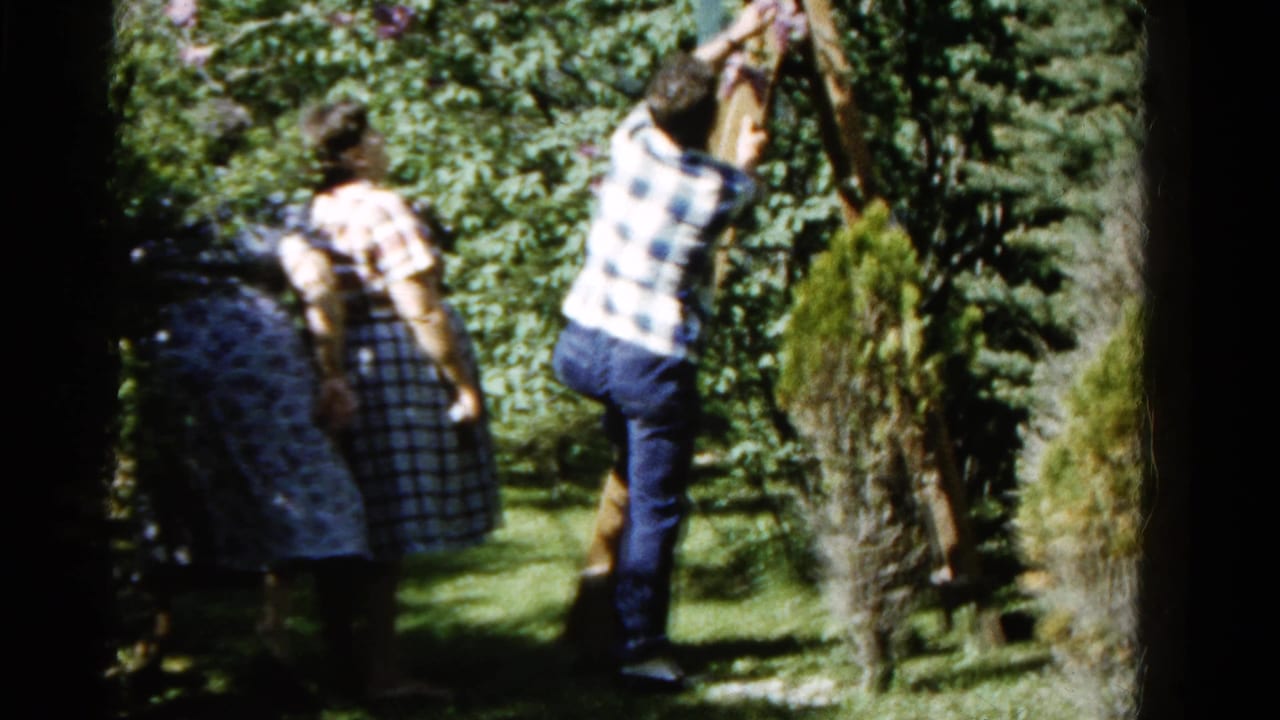 Two women watch a man climbing a wooden ladder beside tall garden shrubs.
