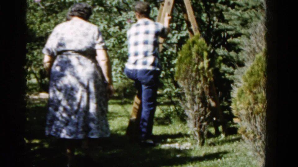 A woman in a patterned dress and a man in a plaid shirt face away from the camera beside the ladder in a leafy Wauconda backyard.