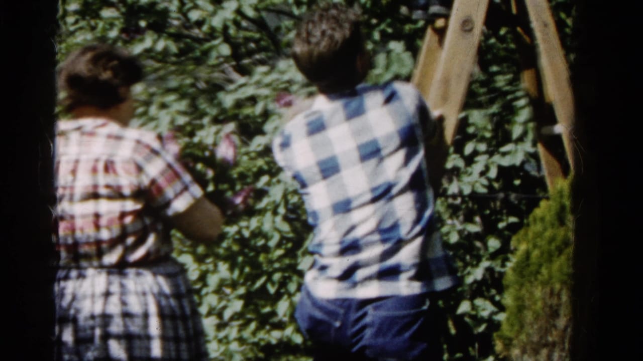 1961 Wauconda, Illinois home-movie frame showing adults in patterned clothing near orchard trees and a wooden ladder.