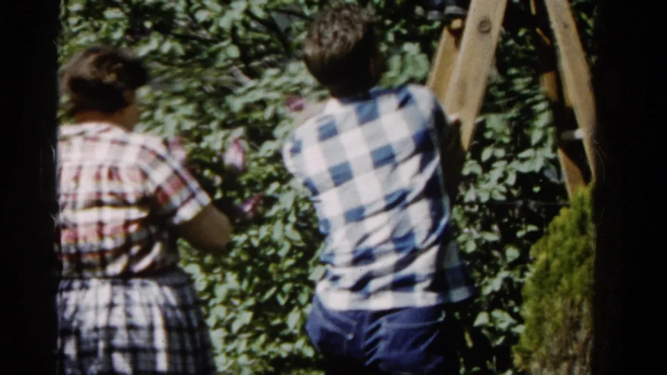 1961 Wauconda, Illinois home-movie frame showing adults in patterned clothing near orchard trees and a wooden ladder.