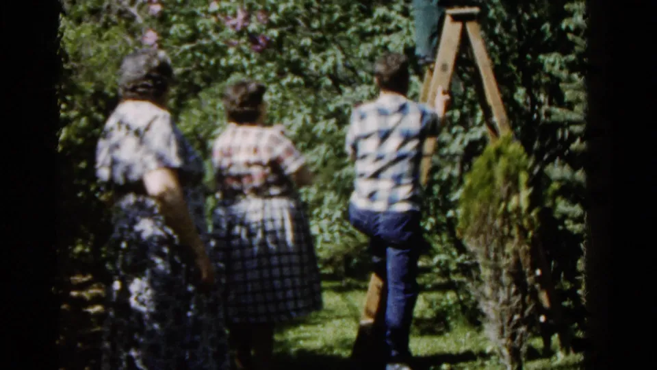 A 1961 home-movie view in Wauconda shows two women among trees as a man in a checkered shirt climbs a wooden ladder.