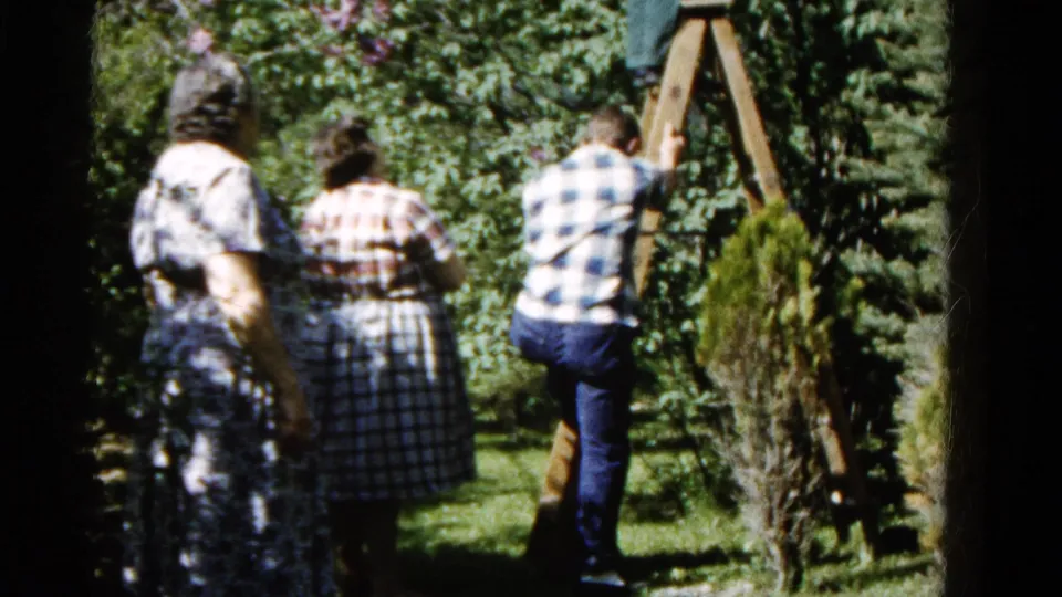In the Wauconda orchard scene, two women stand nearby while a man in a blue checkered shirt works from a ladder.
