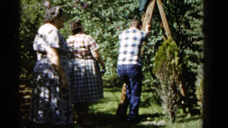 A 1961 Wauconda home-movie frame shows adults in an orchard path, with a man beside a wooden ladder among dense greenery.