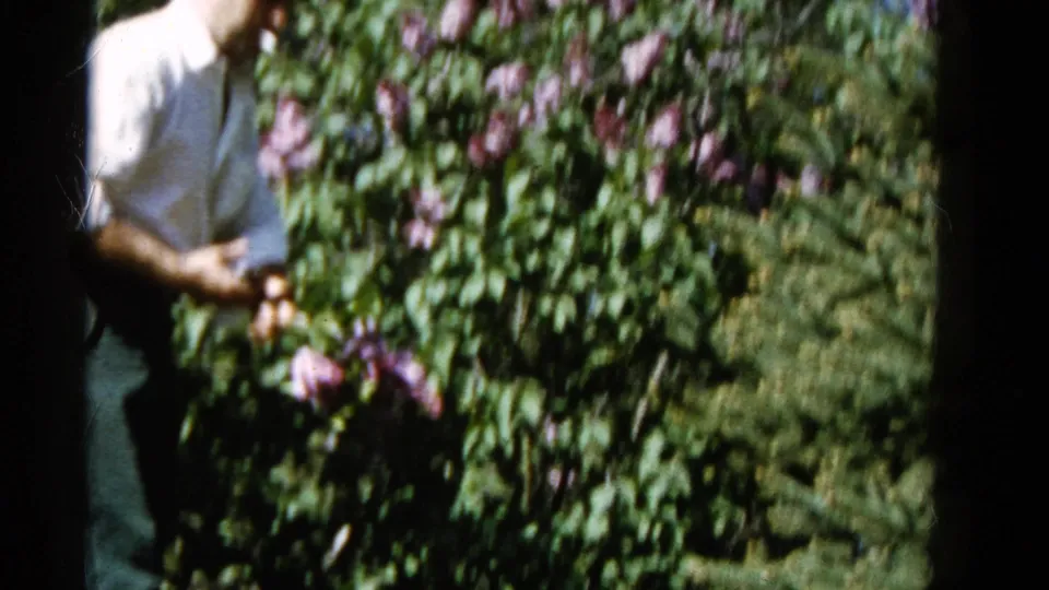 A soft 8mm frame shows the man partly cropped at the edge while purple lilacs and green foliage dominate the Wauconda garden view.