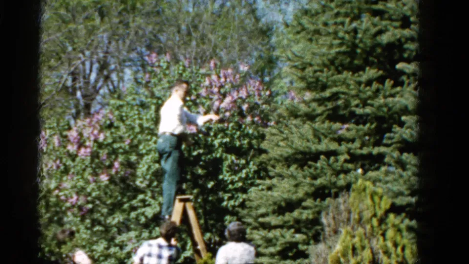 The 8mm frame shows a man picking from a backyard tree in Wauconda, Illinois, with family members or onlookers below.