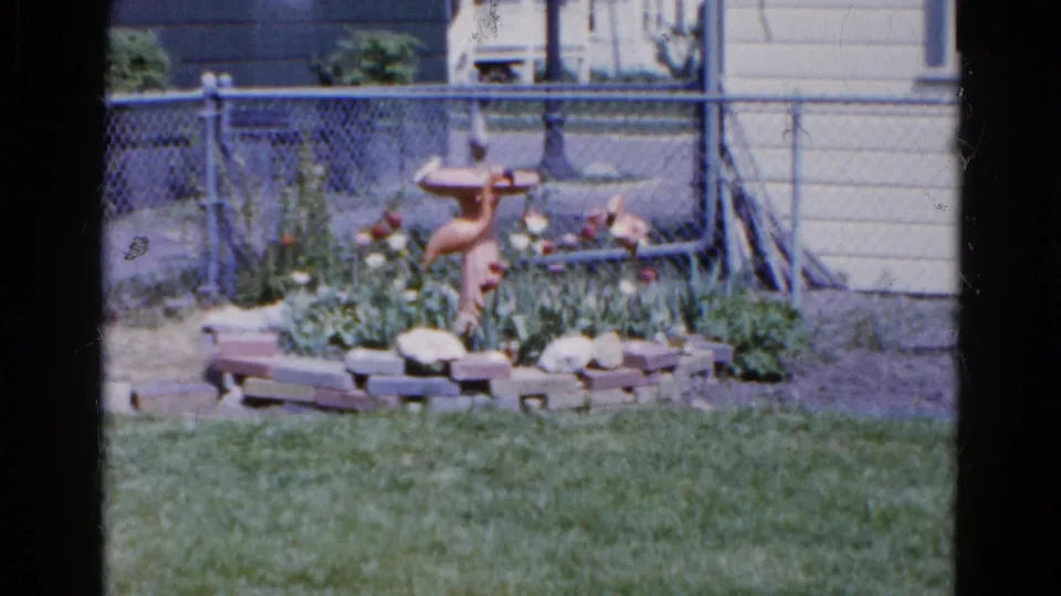 1961 Wauconda backyard showing a lawn, brick garden border, terracotta bird bath, flowers, and chain-link fence.