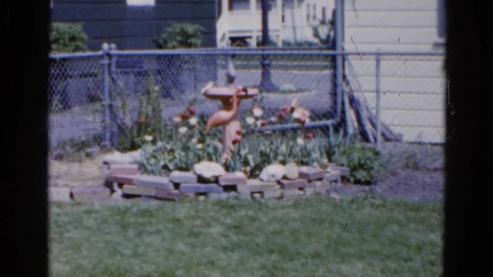 1961 suburban backyard in Wauconda with grass, flowers, a brick-bordered bed, bird bath, fence, and house exterior.