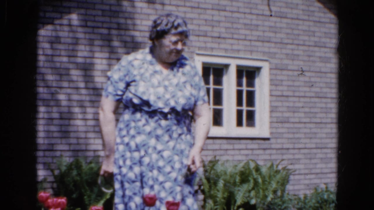 Woman in a patterned dress walking beside red tulips in front of a brick house.