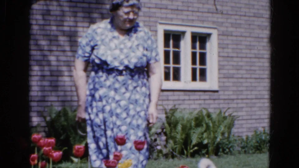 The woman remains in the Wauconda garden, framed with red tulips, green plants, lawn, and a brick house window behind her.