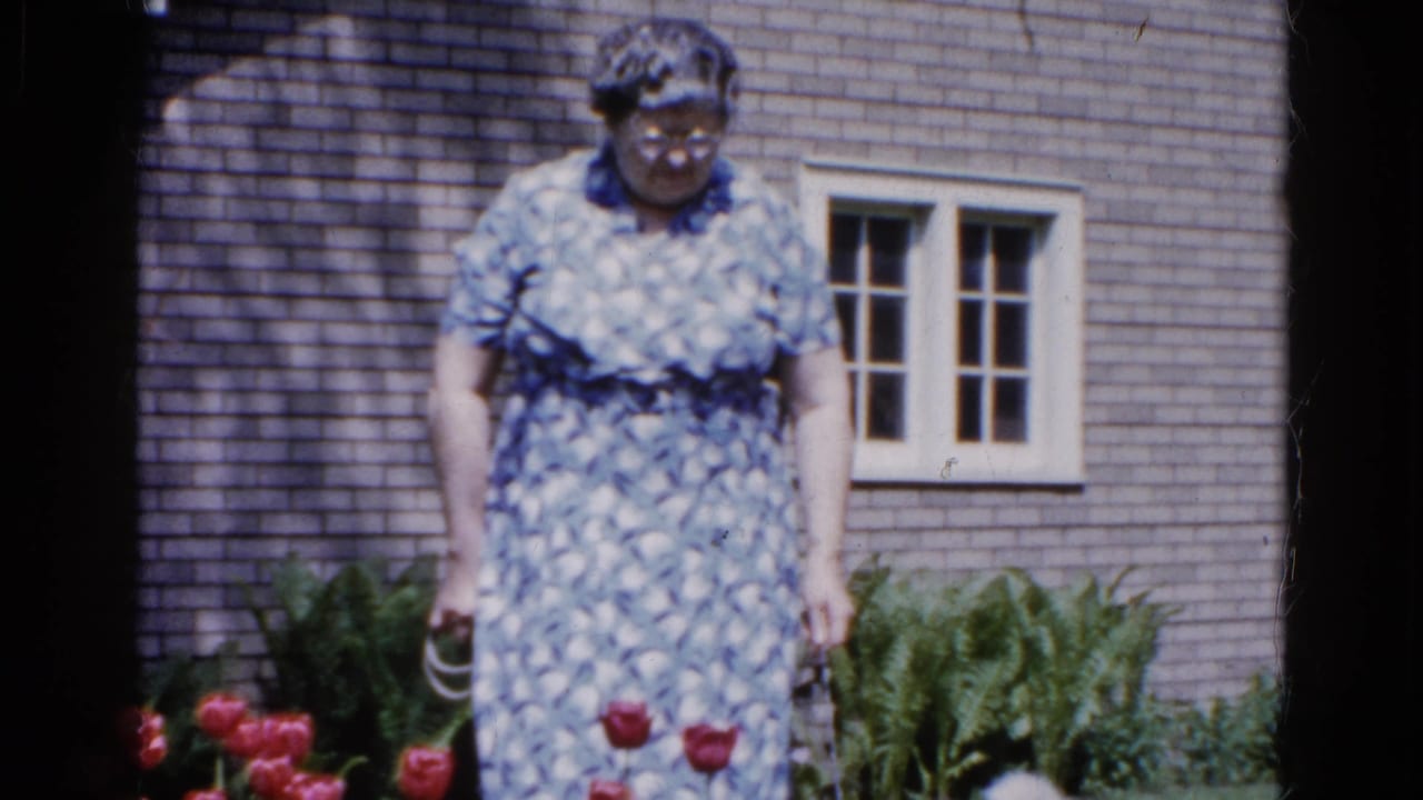 Woman in a blue patterned dress stands by red tulips outside a brick house.