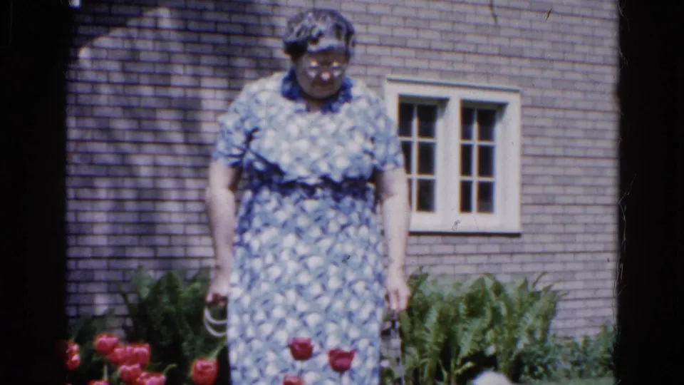 In 1961 Wauconda, Illinois, a woman in a blue and white dress stands in a garden near red tulips and a brick house.